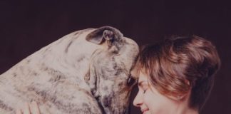 Covid 19 e animali domestici: nessun contagio verso l’uomo covid19 animali no contagio