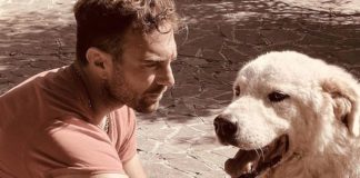 Dogtrainer, filo diretto con i cittadini. Consigli per cane e padrone dogtrainer