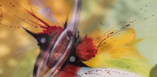 Eva Watzl’s Abstract Expressionism, a delicate representation of concepts through colours (IE) firebird