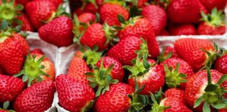 Sistemi di etichettatura agroalimentari, cosa rileva la ricerca Agronetwork fragola