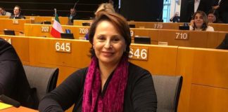 Assistenza alla salute mentale, Regimenti su azioni della UE on luisa regimenti