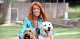 A Lecco vietato nutrire gli animali randagi, scoppia la polemica michela vittoria brambilla