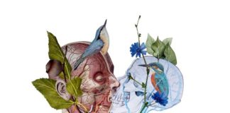 Quarantine group show, l’arte Nego Gallery durante il lockdown mostra nero gallery