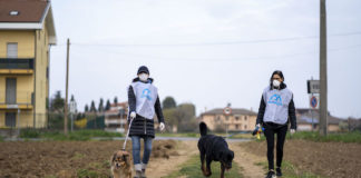 Covid 19, Leidaa in prima linea per salvare cani, gatti e piccioni volontari leidaa