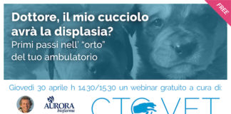 Formazione nel campo veterinario, webinar a tema ortopedico: programma webinar 30 aprile 2020