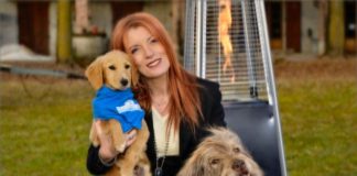 Riaperte adozioni di animali, Brambilla: “Finalmente il Governo ci ascolta” brambilla cani