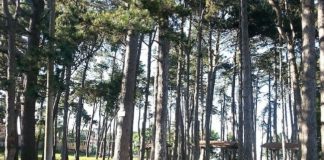 “Puliamo il tuo parco!”: ecco i parchi che si possono votare calabri piazza sant'elia