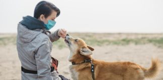 Italiani e pet, ecco il XIII° Rapporto Assalco – Zoomark italiani pet