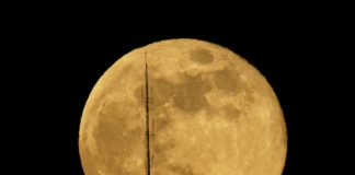 Luna Piena del fiore, successo per l’evento astronomico luna del fiore