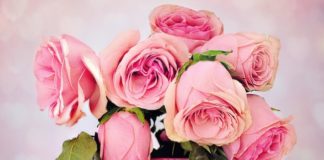 10 maggio 2020, Festa della Mamma: origine e significato rose rosa