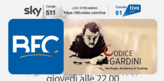 Codice Gardini sbarca in TV, ecco dove e quando