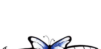 Il cinema riparte, l’estate 2020 di Mariposa Cinematografica mariposa cinematografica