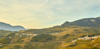 Cembra Cantina di Montagna, il vino che nasce dalle vette del Trentino cembra cantina montagna