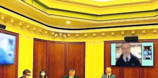 Apicultura in Commissione Agricoltura al Senato, il report odierno cirone videoconferenza senato