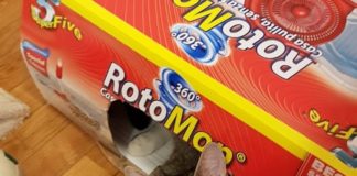 Giochi per gatti: consigli da Comieco sull’utilizzo di carta e cartone micio