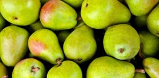 Pere, maculatura bruna: a rischio una delle culture più rilevanti pere