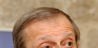 Consiglio d’Europa, rinnovate le cariche dell’Assemblea parlamentare piero fassino