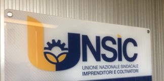 Covid, Unsic: “Le scuole riapriranno con almeno un migliaio di contagiosi (che non lo sanno)”