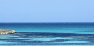 Isola di Formentera, edizione 2020 del laboratorio Zen formentera sostenibilità