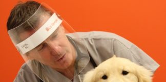Curiosità sui cani: ecco cinque falsi miti da sfatare marco maggi