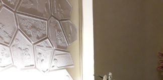 Acutis e Frassati: su Tv2000 in diretta Messa e rito di canonizzazione con Papa Leone XIV