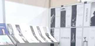 “Adelaide”, il nuovo romanzo di Antonella Ferrari. L’intervista antonella ferrari