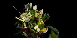 Insalata 21…31…41…51: lo chef Crippa per la rubrica di Striscia la Notizia insalata