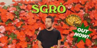 “Le piante”, Sgrò racconta del nuovo singolo le piante copertina