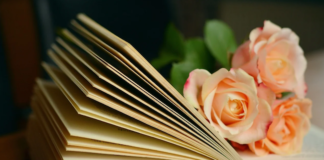 Libri da leggere: i consigli di ottobre 2020 libri mese ottobre