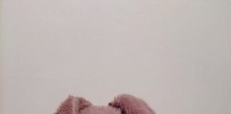 La vera unica sorella orsetto peluche