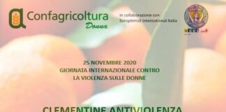 25 novembre, Clementine per sostenere i centri antiviolenza clemetine 25 novembre 2020