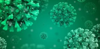 Covid, in una settimana nuovi casi in calo del 5,5% covid verde