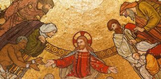 Papa Leone XIV: Giubileo dei cori e Messa del Cristo Re Cristo Re