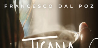 Il cantautore Francesco Dal Poz parla del singolo “Tisana” del poz tisana