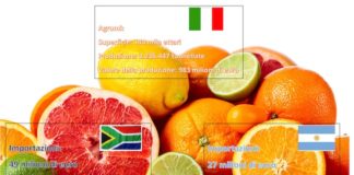Agrumi, maggiori controlli alle frontiere: l’appello di Confagricoltura info grafica agrumi