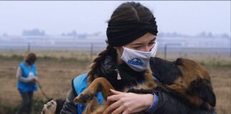 Soccorso agli animali, nuove esperienze dei volontari di Leidaa isabel