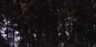 La luce canterina e la piccola che balla luce