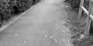 La strada dei bimbi perduti strada