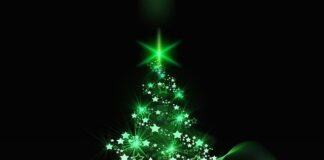 La tradizione dell’albero di Natale: origine e significato albero di natale