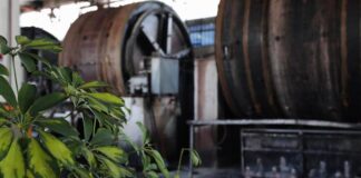 Be Green Tannery, alla scoperta del progetto che unisce moda e ambiente be green tannery