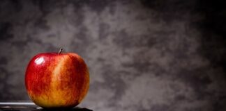 Libri da leggere: i consigli di dicembre 2020 libri da leggere dicembre 2020