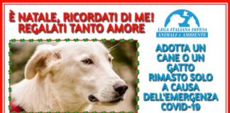 “E’ Natale, ricordati di me!”: l’appello della Lega per la difesa degli animali natale ricordati di me