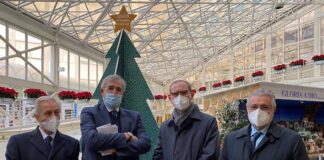 Stelle di Natale al Policlinico Universitario A. Gemelli da Confagricoltura stelle di natale gruppo