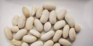 Calabria: i fagioli di Cortale sono il nuovo Presidio Slow Food