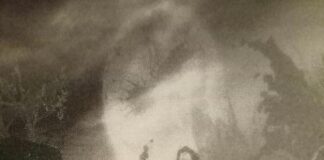 Sarebbero diventati superiori, prima puntata della storia noir primo noir