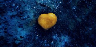 Irmin Bernstädt, and the detail becomes a work of art (IE) the golden heart irmin bernstaedt