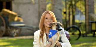 I “trucchetti” dei cani super-addestrati protagonisti in tv brambilla cucciolo