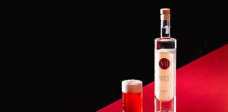 Drink Castagnola Fizz, un’idea per il Carnevale di Antonio Tittoni