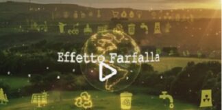 RaiNews24: Oikos, la pittura ecologica in primo piano