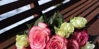 San Valentino ai tempi del Covid: l’appello di Confagricoltura fiori rosa